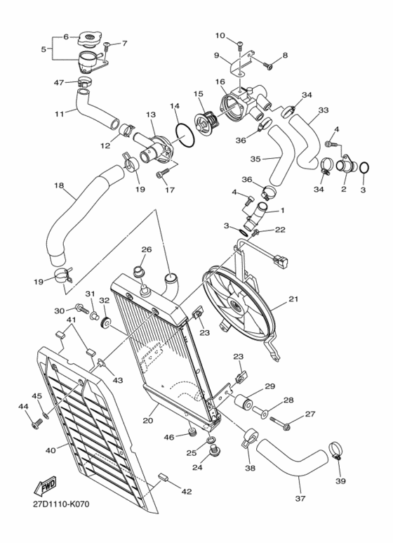Radiator & hose