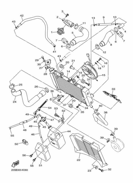 Radiator & hose
