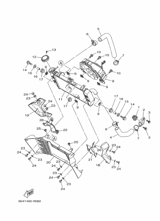 Radiator & hose