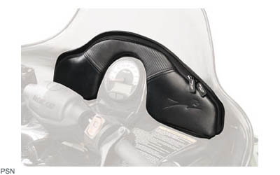 Windshield bag