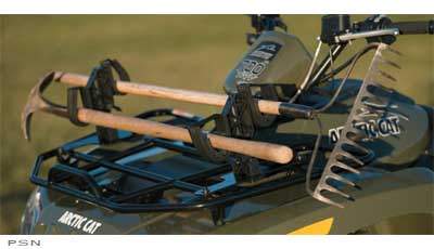 Dual gun utility mount