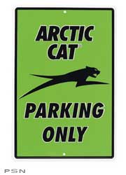 Arctic cat 12