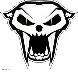 Skull cat decals