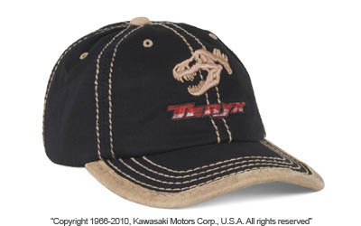 Teryx™ fossil cap