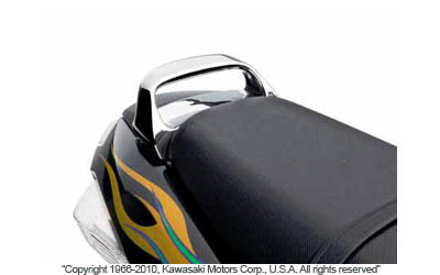 Chrome passenger grab handle