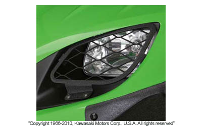 Headlight guards