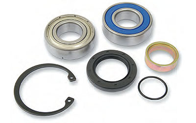 All balls chain case bearing and seal kits