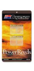 Boyesen power reeds