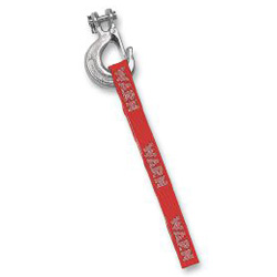 Warn replacement hook with strap