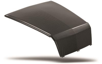 Maier rzr hood