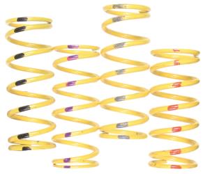 Team springs for ski-doo drive clutch