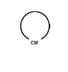 Wiseco piston circlips