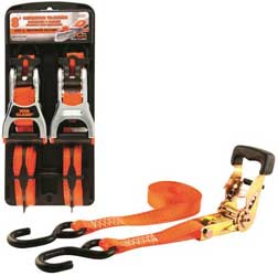 Erickson 1