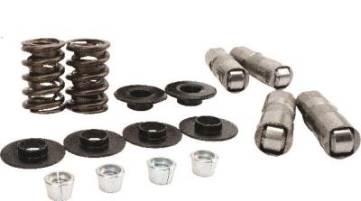 Lunati valve train accessories