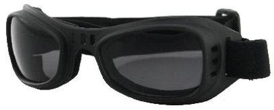 Bobster road runner goggles