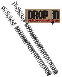 Progressive suspension drop-in fork lowering kits