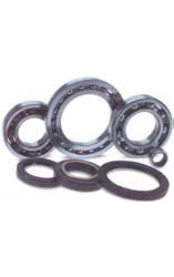 Differential bearings and seal kits