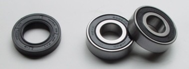 Tourmax Комплект колесных подшипников WBK-308 6203х2
