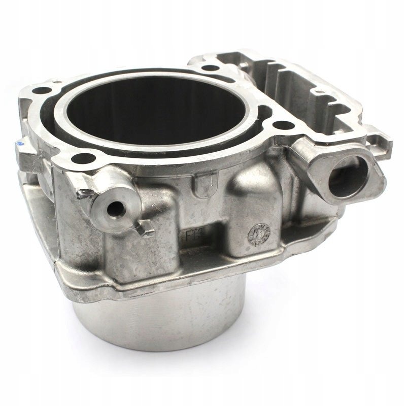 BRP OEM 420413116 Цилиндр задний Can-Am