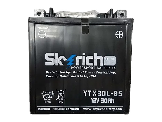 Skyrich Аккумулятор YTX30L-BS (YIX30L-BS)