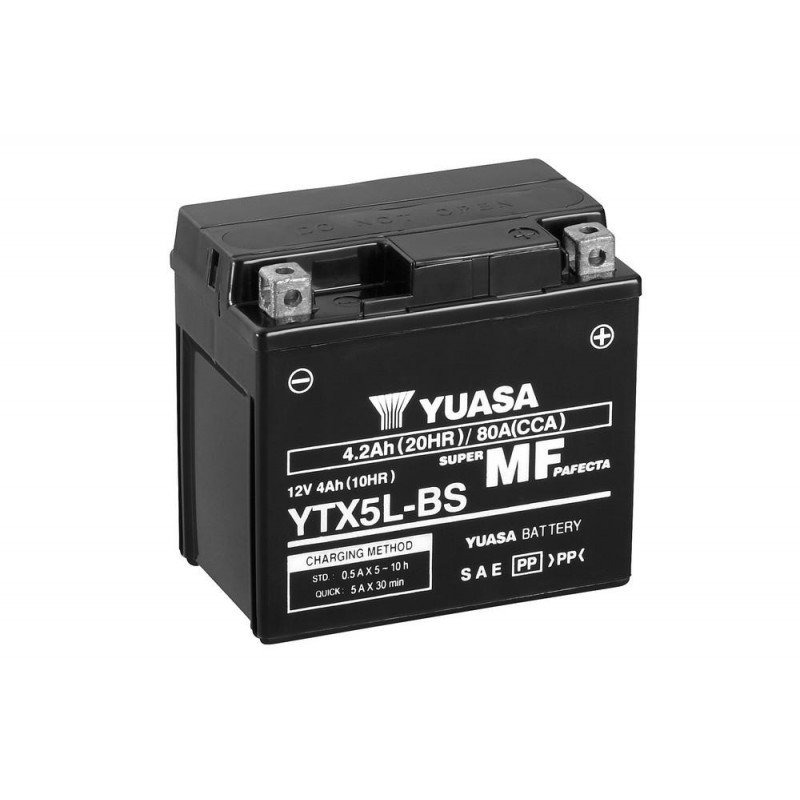 Skyrich Аккумулятор YTX5L-BS