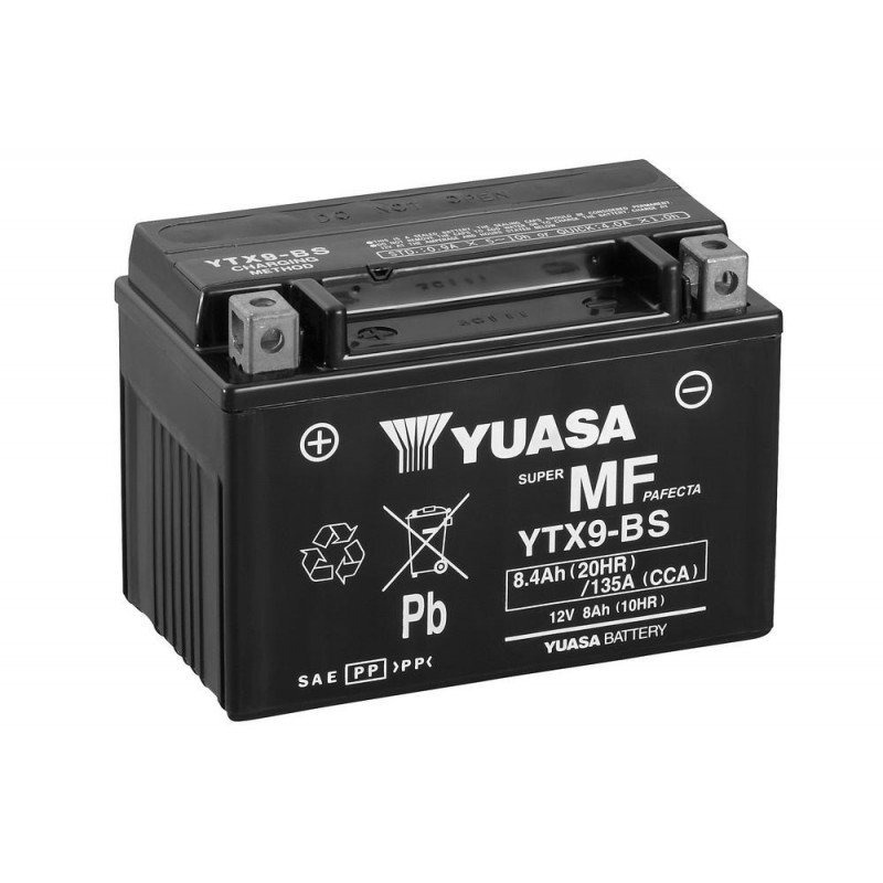 Skyrich Аккумулятор YTX9-BS