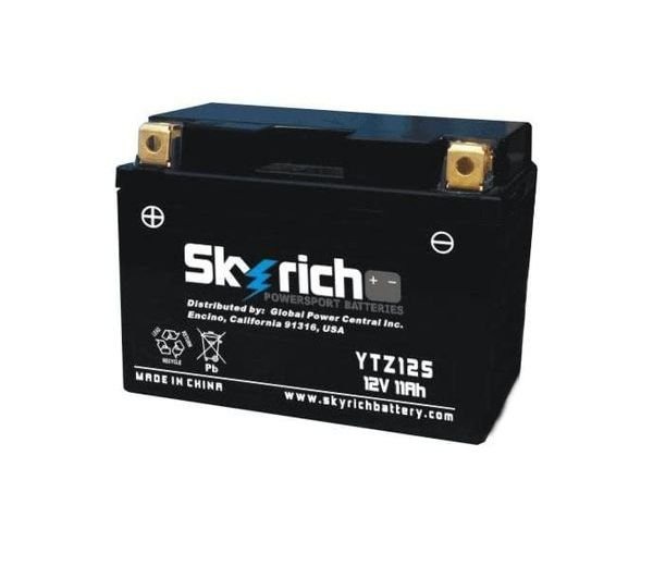 Skyrich Аккумулятор YTZ12S