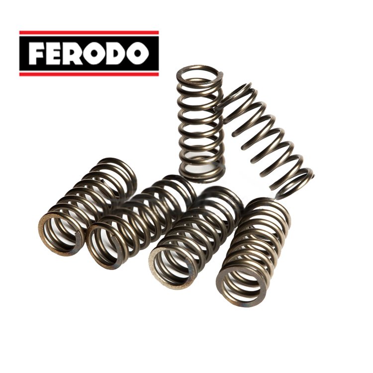 Ferodo Комплект пружин сцепления FSS0313