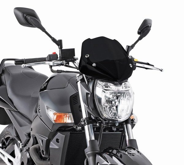 Givi 247N Стекло ветровое