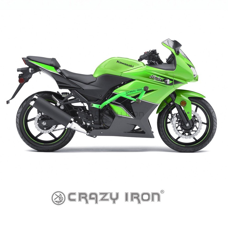 Crazy Iron 41301018 Защита RACE RAIL для KAWASAKI Ninja 250R 08-12