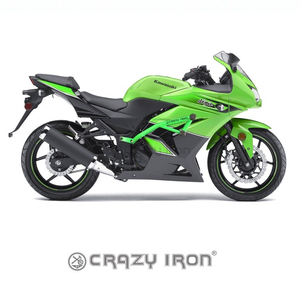 Crazy Iron 41301018 Защита RACE RAIL для KAWASAKI Ninja 250R 08-12