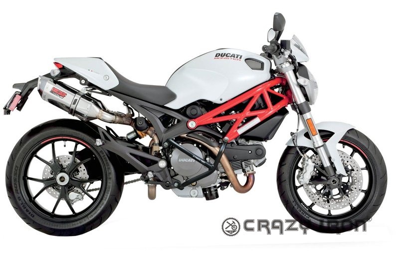 Crazy Iron 60401 Дуги для Ducati Monster 696, 796 2009-2014