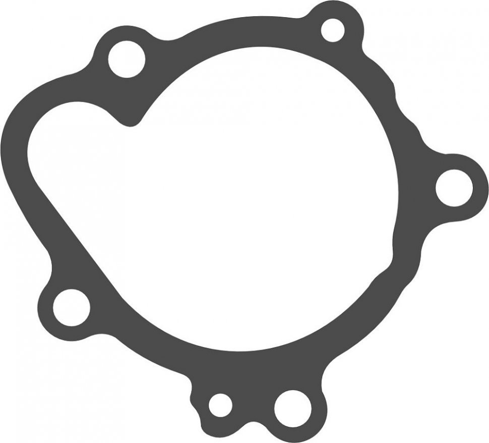 Chakin Прокладка помпы для мотоцикла Kawasaki ER250/300, EX250/300, KLE250/300 (11061-0793)