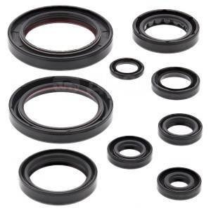 Bearing Worx Комплект сальников двигателя Honda CRF250R 10-17 (822357)