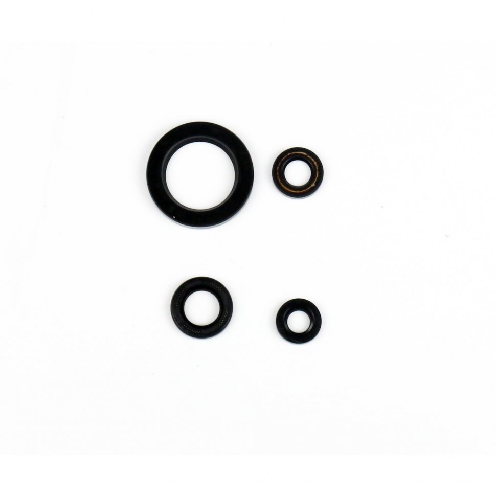 Athena Комплект сальников двигателя Yamaha XVS650 97-16 DragStar