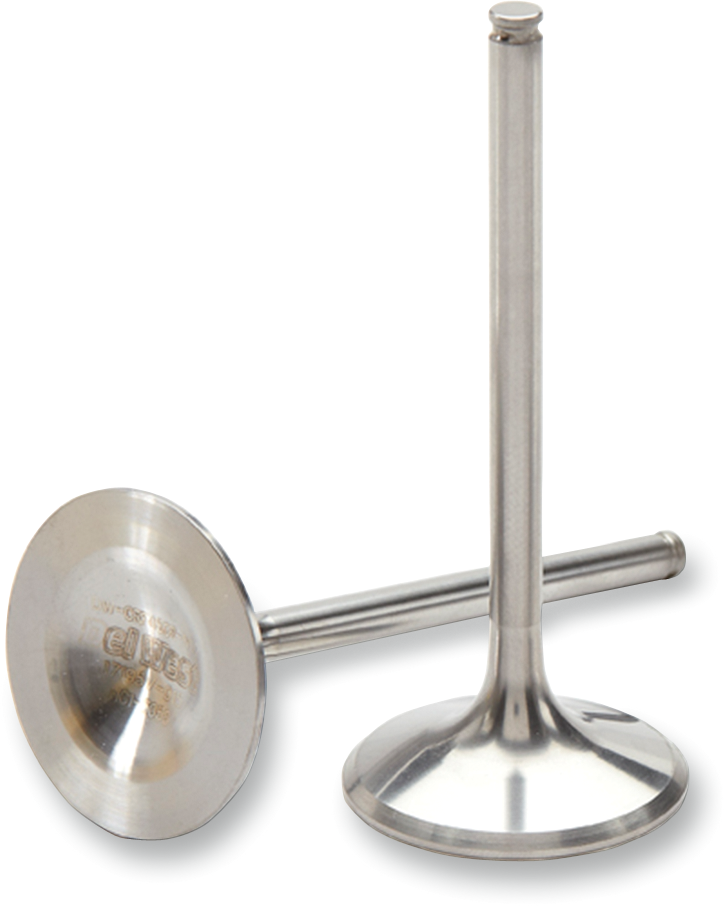Titanium Engine Valve