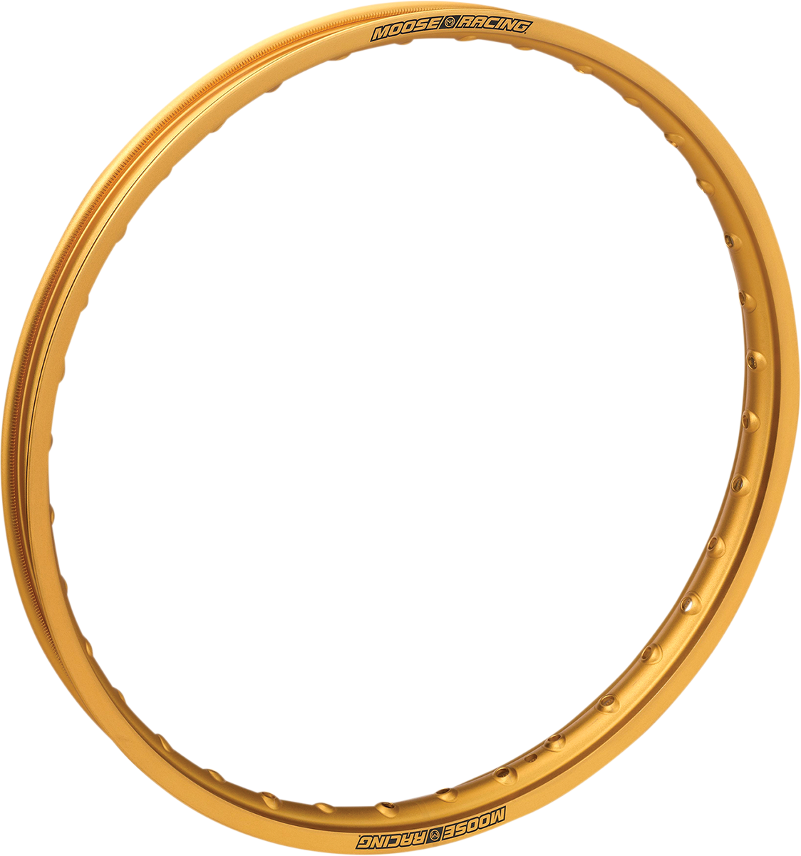 Rim - Gold - Rear - 2.15 X 19