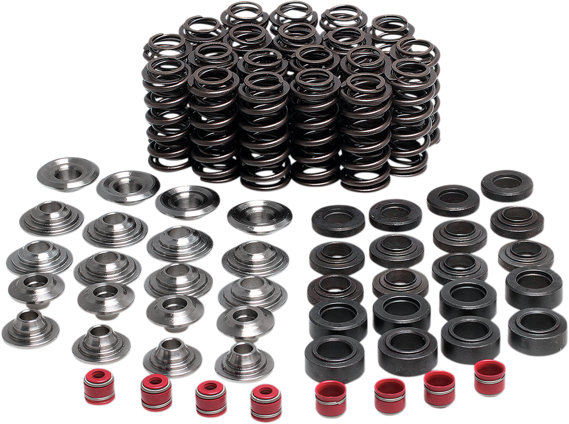 Valve Spring Kit