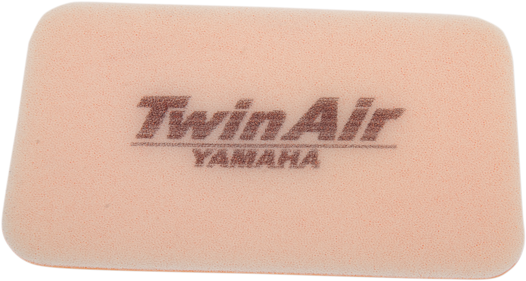 Air Filter PW80