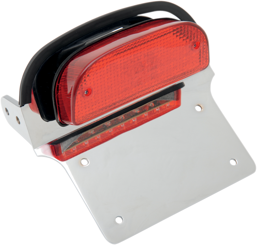 Taillight and License Plate Mount Assembly