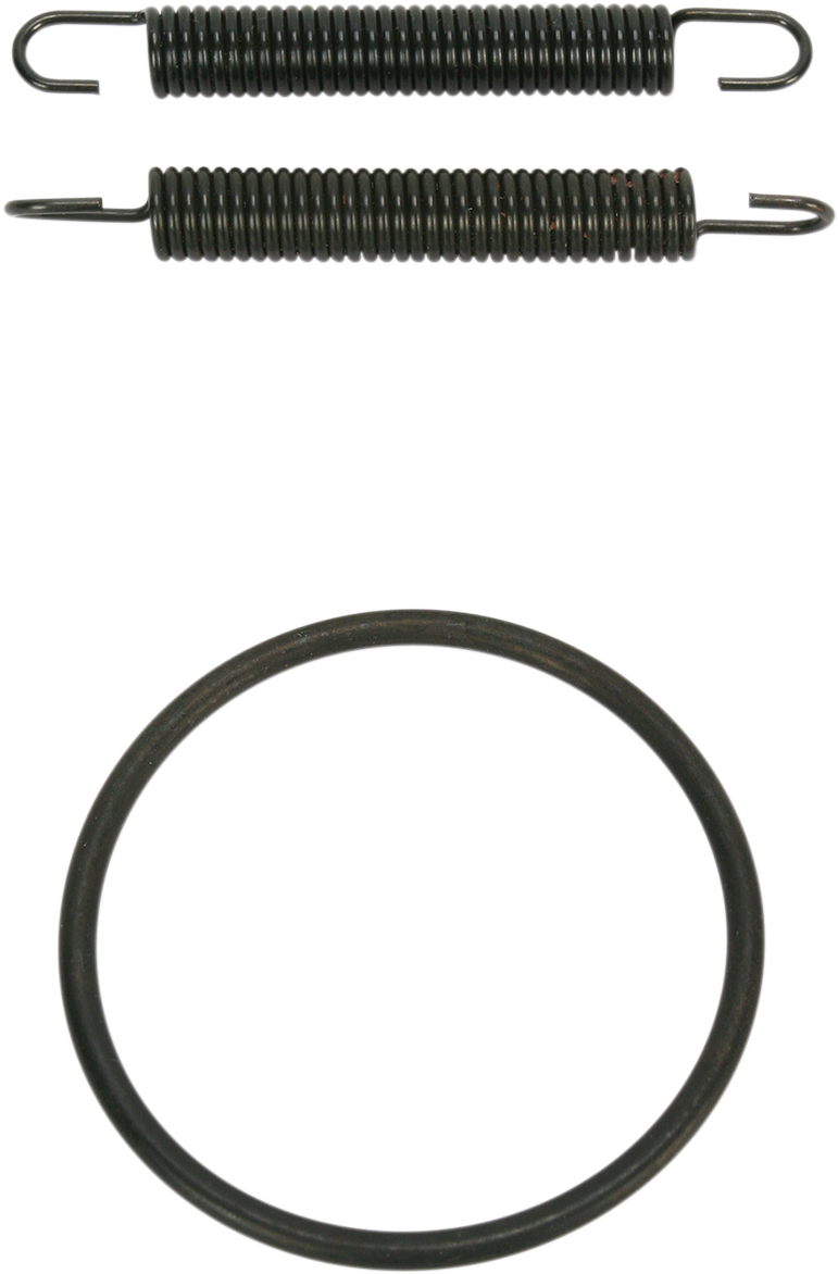 Pipe Spring/O-Ring Kit