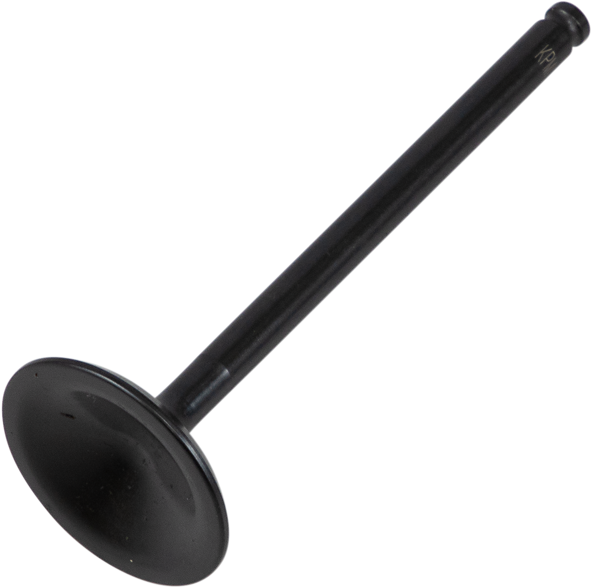 Exhaust Valve