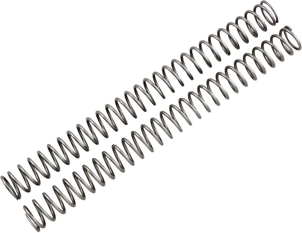 Front Fork Springs - 0.41 kg/mm