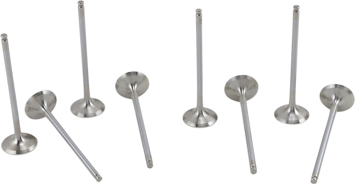 Exhaust Valve Kit
