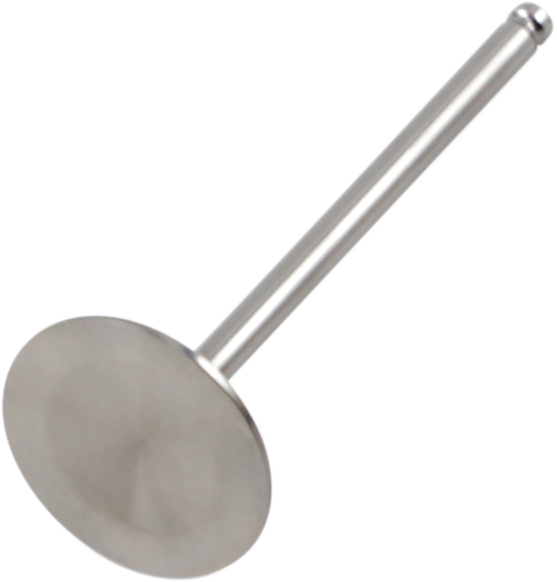 Intake Valve