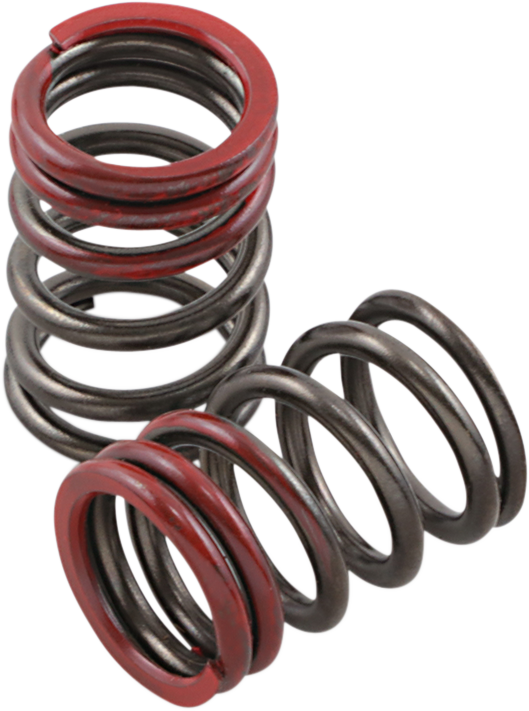 Exhaust Valve Springs