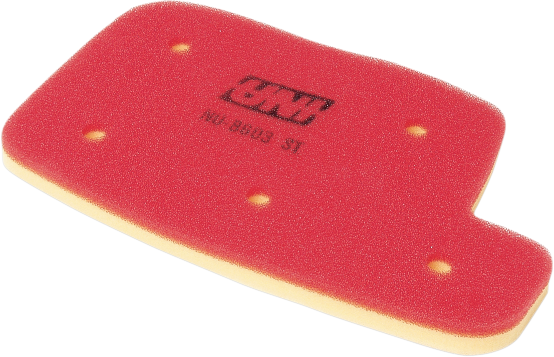 Filter Air Arctic Cat