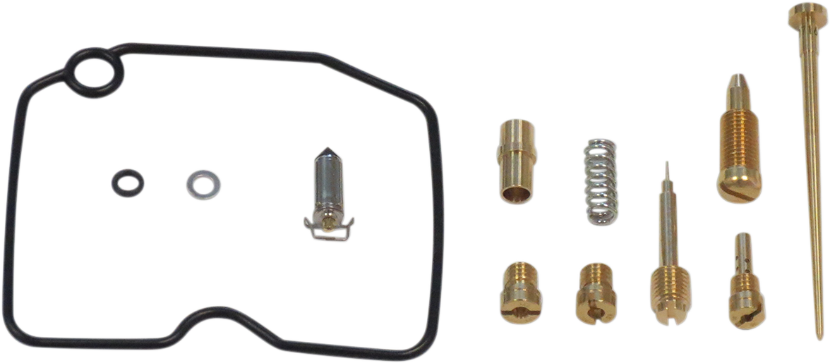 Repair Kit Carburetor Arctic Cat
