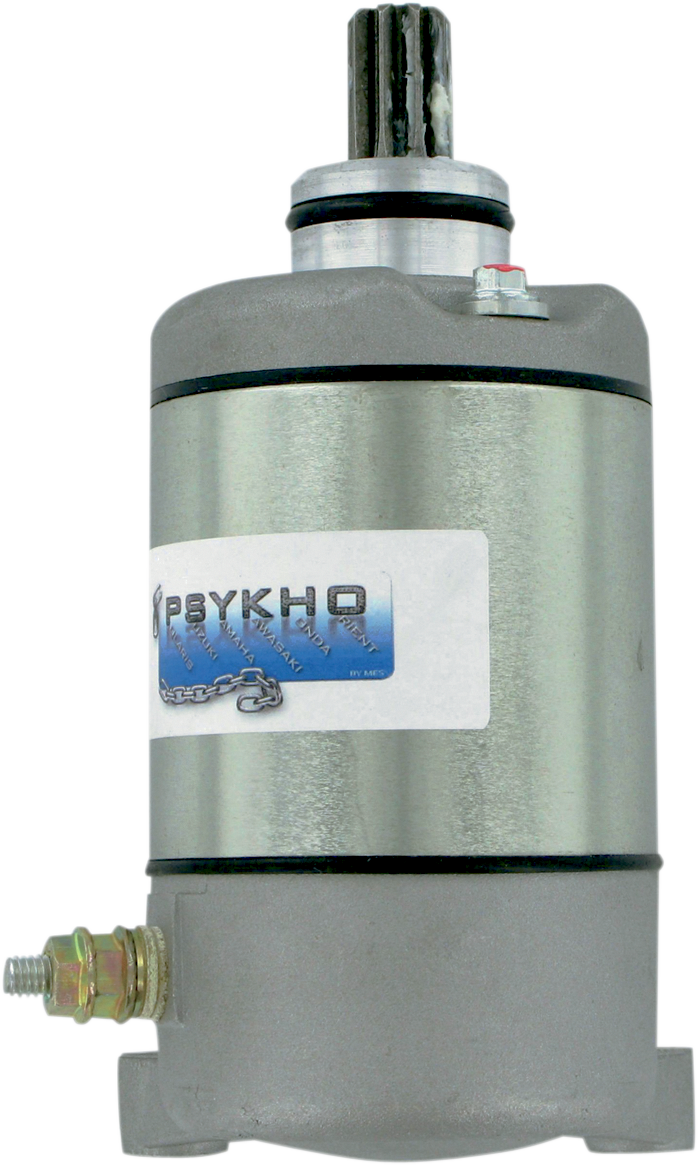 Starter Motor for Polaris