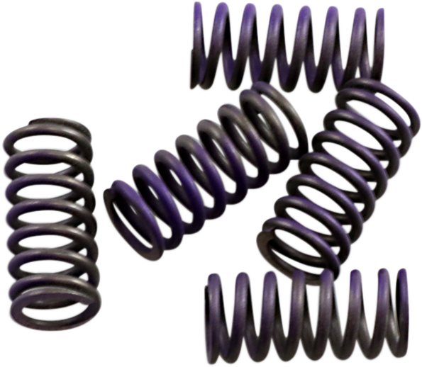 Clutch Spring Kit